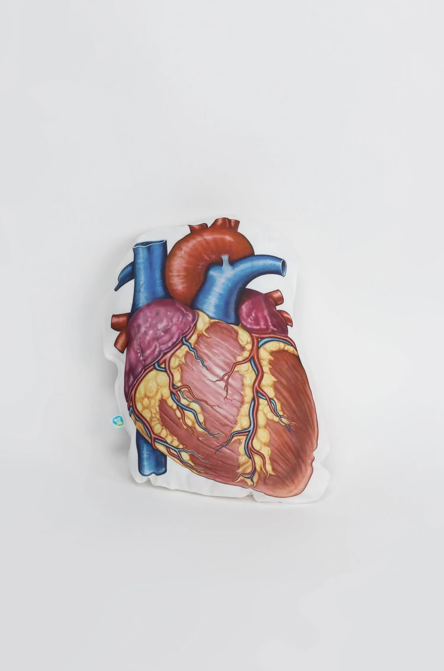 Anatomy Heart Cushion