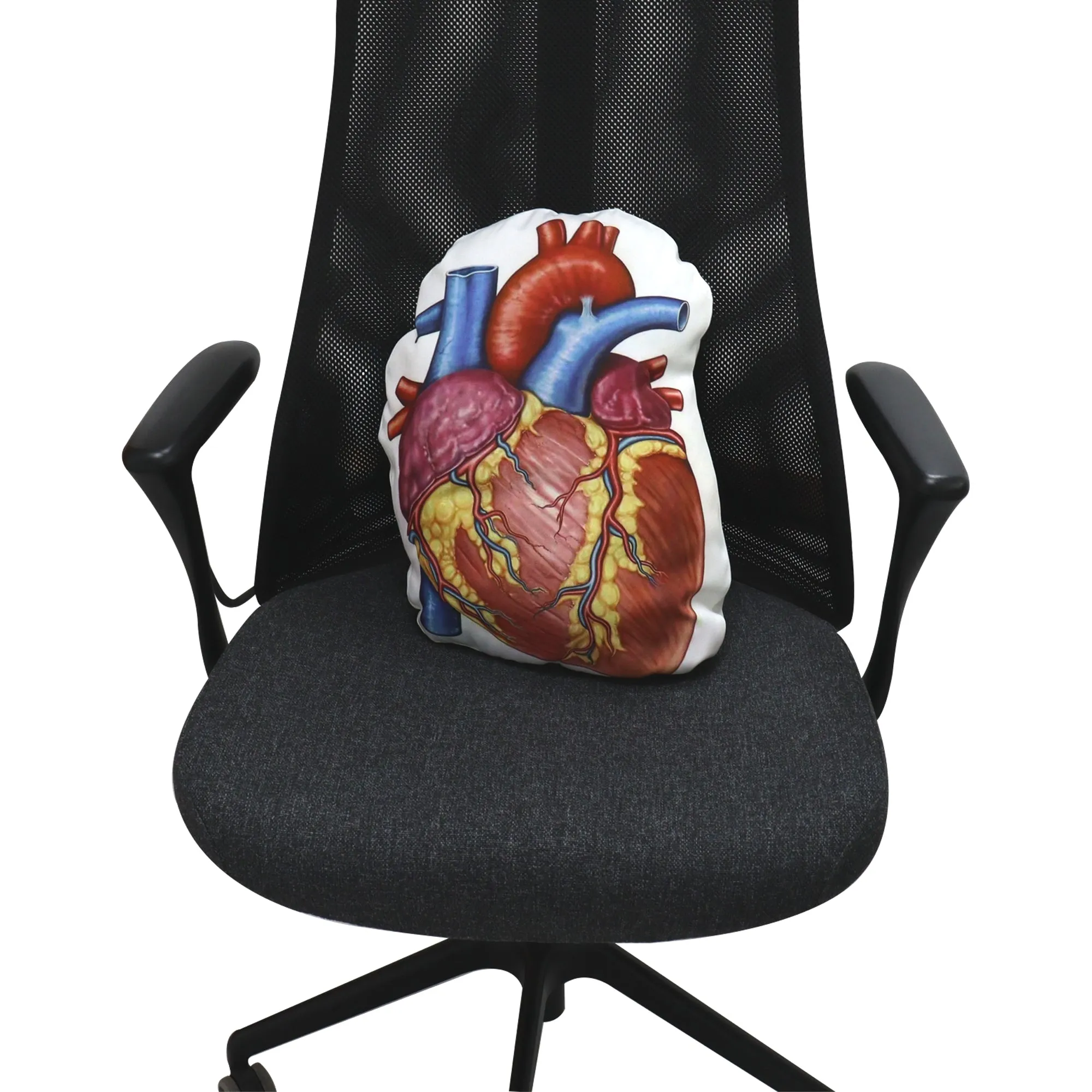 Anatomy Heart Cushion