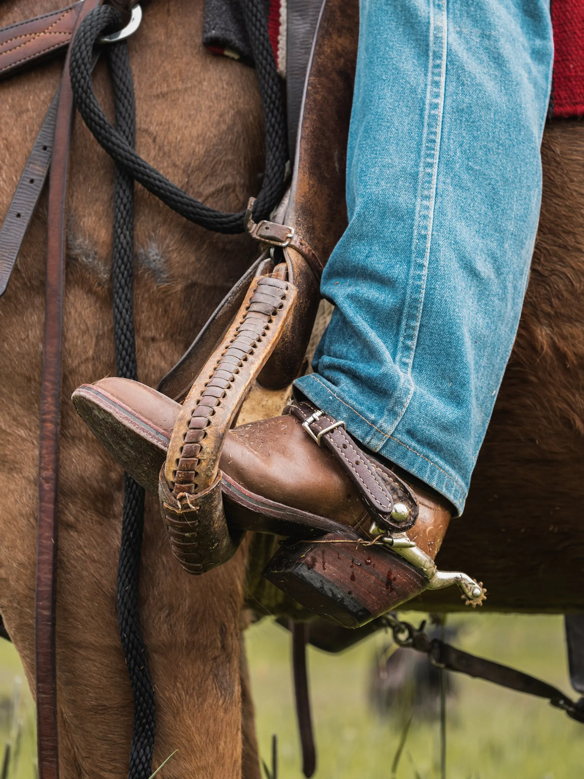 The Trevor Midnight | Tan Outlaw